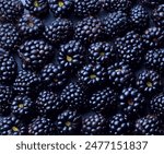 Blackberry. Fresh ripe blackberries as background. Top view. Blackberry texture close up.