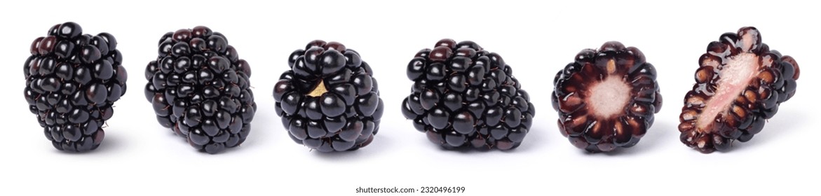 Blackberry fruit and half sliced isolated on white background. 