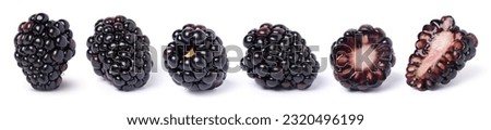 Blackberry fruit and half sliced isolated on white background. 