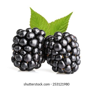 Blackberry Fruit Isolated