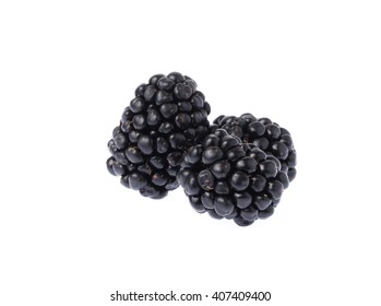 Blackberry Fruit Isolated On White Background