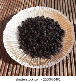 Blackberry Fruit ( Latin Name Rubus Plicatus). Blackberries Fruits In The Golden Bowl Plate.