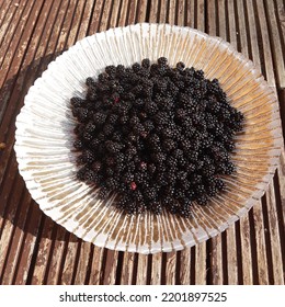 Blackberry Fruit ( Latin Name Rubus Plicatus). Blackberries Fruits In The Golden Bowl Plate.