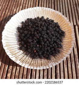 Blackberry Fruit ( Latin Name Rubus Plicatus). Blackberries Fruits In The Golden Bowl Plate.