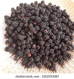 Blackberry Fruit ( Latin Name Rubus Plicatus). Blackberries Fruits In The Golden Bowl Plate.