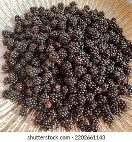 Blackberry Fruit ( Latin Name Rubus Plicatus). Blackberries Fruits In The Golden Bowl Plate.