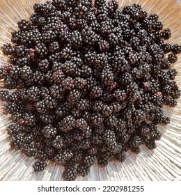 Blackberry Fruit ( Latin Name Rubus Plicatus). Blackberries Fruits In The Golden Bowl Plate.