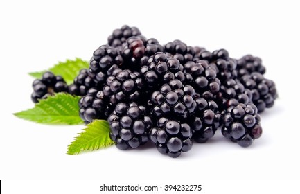 Blackberry Fruit With Leafs Close Up On White