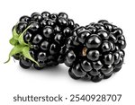 blackberry isolated on a white background closeup.