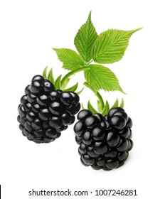 Blackberry Isolated On White Background