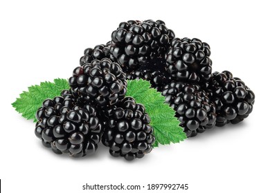 blackberry isolated on a white background closeup. Clipping path and full depth of field