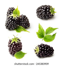 Blackberry Isolated On White Background