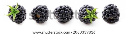 Blackberry isolated on white background close up. Blackberries collection.