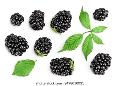 blackberry with leaf isolated on a white background. Top view. Flat lay