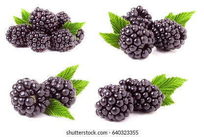 blackberry with leaves isolated on white background. Set or collection