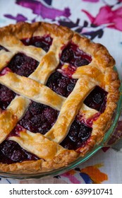 Blackberry Pie