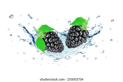 Blackberry And Water Splash