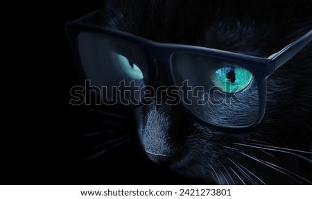 blackcat with green eyes wearing balck glass closeup picture 