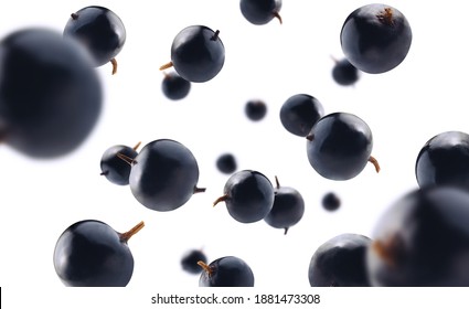 Blackcurrant Berries Levitate On A White Background