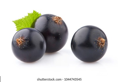 Blackcurrant in closeup with leaves