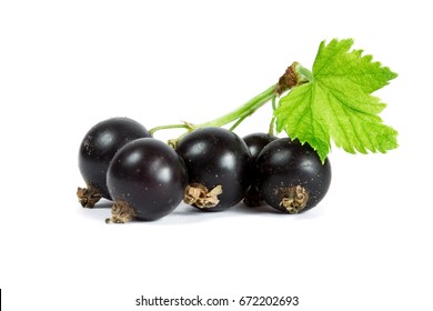 Blackcurrant On White Background