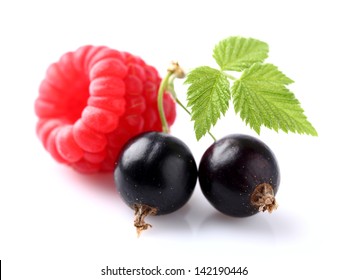 Blackcurrant With Raspberry