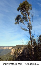 Blackheath, NSW, Australia, July 2021. A view from the George Phillips Lookout in the Blue Mountains