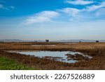 Blackish Marsh at Grizzly island  Wildlife area on a partly cloudy day with blue sky and plenty of sky copy-space showing a portion of the Suisun marsh, Fairfield, California, USA