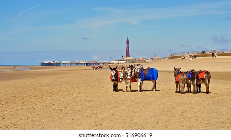 Blackpool Beach With Donkeys