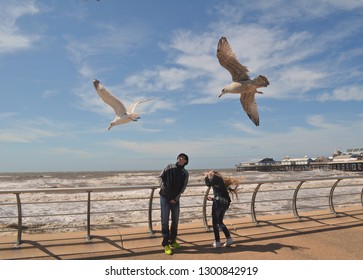 Blackpool / United Kingdom - May 13 2016: Flying Seagulls Above The Heads