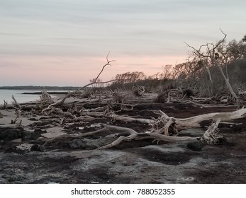 Blackrock Beach At Big Talbot Island. Florida.