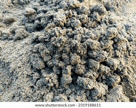 the blacksand in the beach 