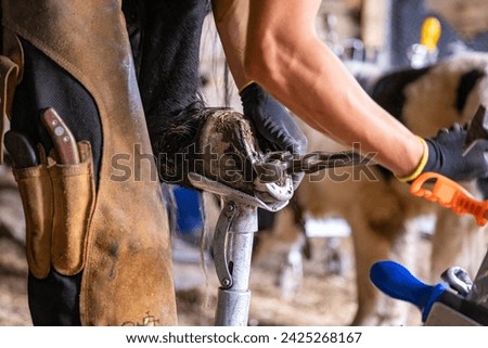 A blacksmith is working with horseshoe
