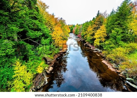 Blackwater falls creek river water high angle above view in Davis, West Virginia state park with colorful autumn fall gold yellow red leaf tree foliage background and reflection of sky