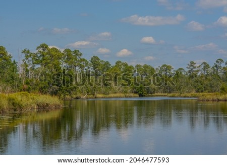 The Blackwater River at Russell Harber Landing in Milton, Santa Rosa County, Florida