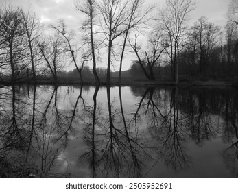 Blackwhite image - Magnificent snowless winter sunset scenics: bare trees and cloudy sky reflecting in Vyskovice pond partially frozen water surface during dusk. - Powered by Shutterstock