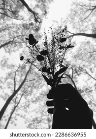 Blackwhite image of nature and flowers.
					