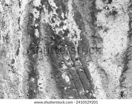 Blackwhite photography for abstract image of cracked ground