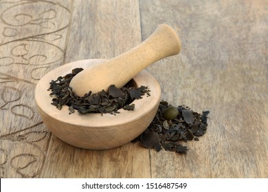 Bladderwrack herb in  mortar with pestle used in herbal medicine to treat obesity, joint pain, heartburn, constipation, arteriosclerosis digestive disorders. Fucus vesiculosus.