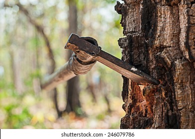 Blade Axe Down A Tree