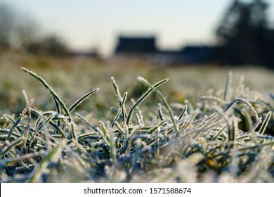 Blades Of Grass Covered With Ice Crystals Of Hoarfrost, Backyard Lawn And Houses In Blurred Background. Concept Of Winter Season, Cold Temperature Or Lawn Care In Wintertime. Closeup Macro Copy Space