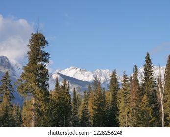 Blaeberry River Valley In Winter