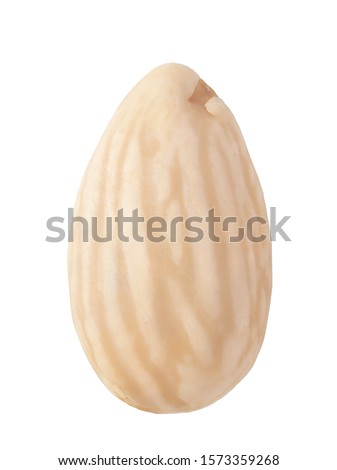 Blanched almond isolated on white background