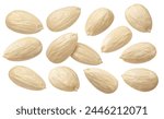 Blanched almond set isolated on white background. Package design elements with clipping path