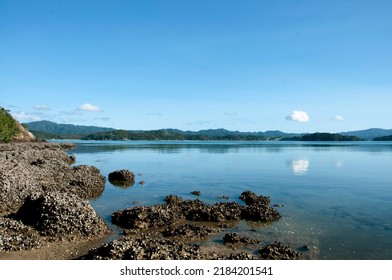 Bland Bay Rocks And Water