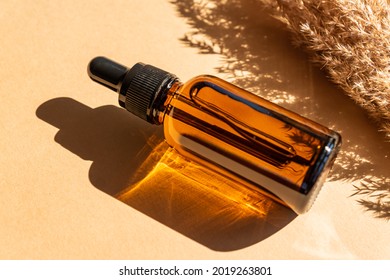 Blank amber glass essential oil bottle with pipette on beige background decorated dry wild reeds. Skin care concept with natural cosmetics.