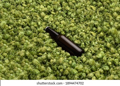 Blank beer bottle on the green hops background, craft beer mockup templates, with empty space to place your label or design
