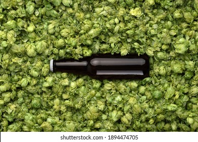 Blank beer bottle on the green hops background, craft beer mockup templates, with empty space to place your label or design