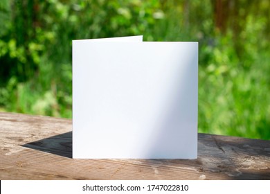 Blank Bifold Clean Card On Wooden Desk Outdoors With Floral Shadow And Blurred Nature Background As Template For Design Presentation, Event Promotion, Invitation Etc. Camping Nature Vacation Concept.