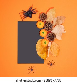 Blank Black Halloween Card With Pumpkins And Spiders. Poster Invitation Mockup.